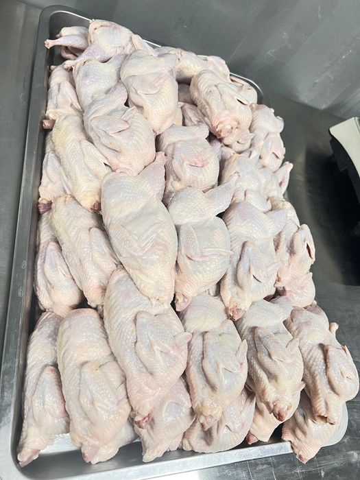 ОПТ Перепела тушки замороженные