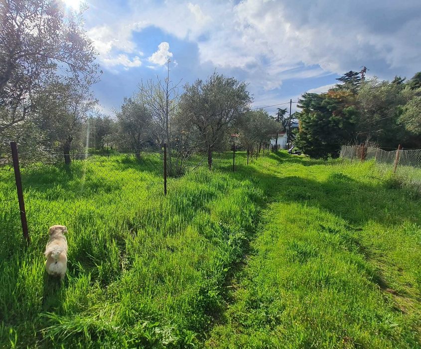 Продава парцел 780 м2 зад супермаркет Склавенитис в Аспровалта, Гърция