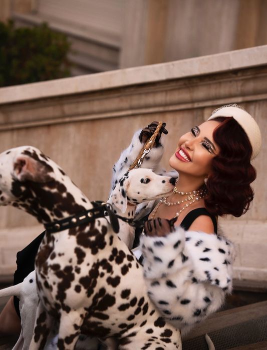 Далматин на фотоссесию