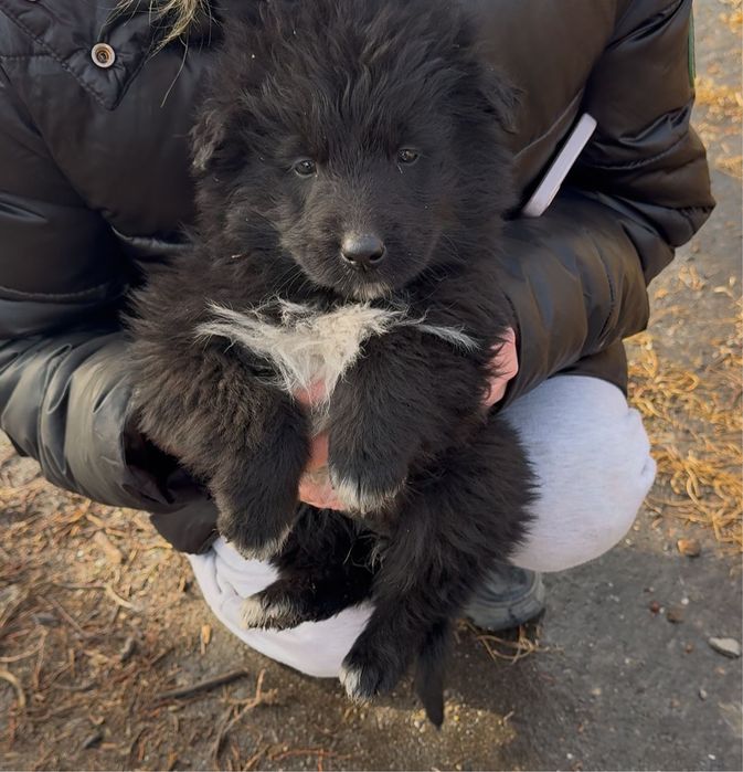 Мальчики девочки ишут дом