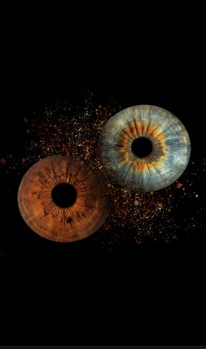 Фото радужки глаз