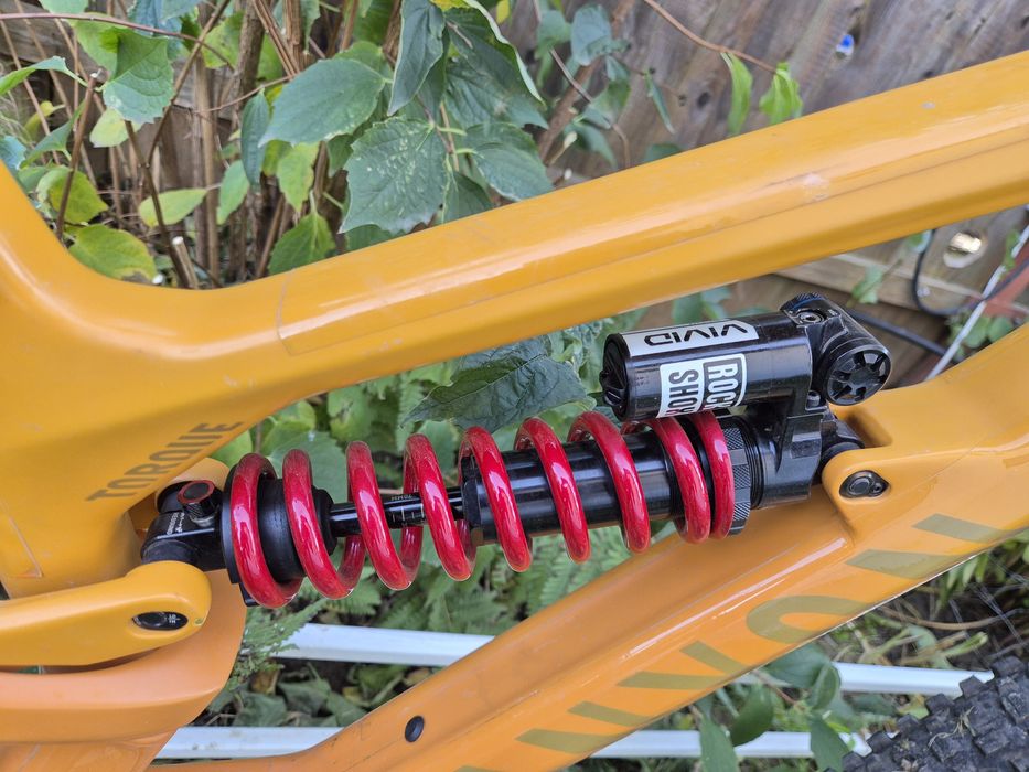 Mtb Enduro Canyon Torque CF 29" L  180/170mm