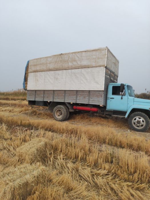 Gaz 3309 sotiladi chiochna