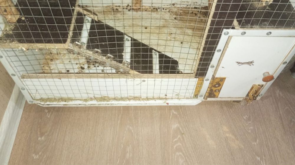 Клетка для животных