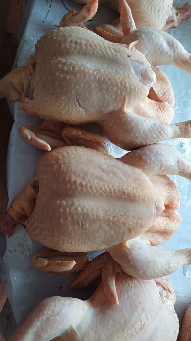 Мясо домашнего бройлера