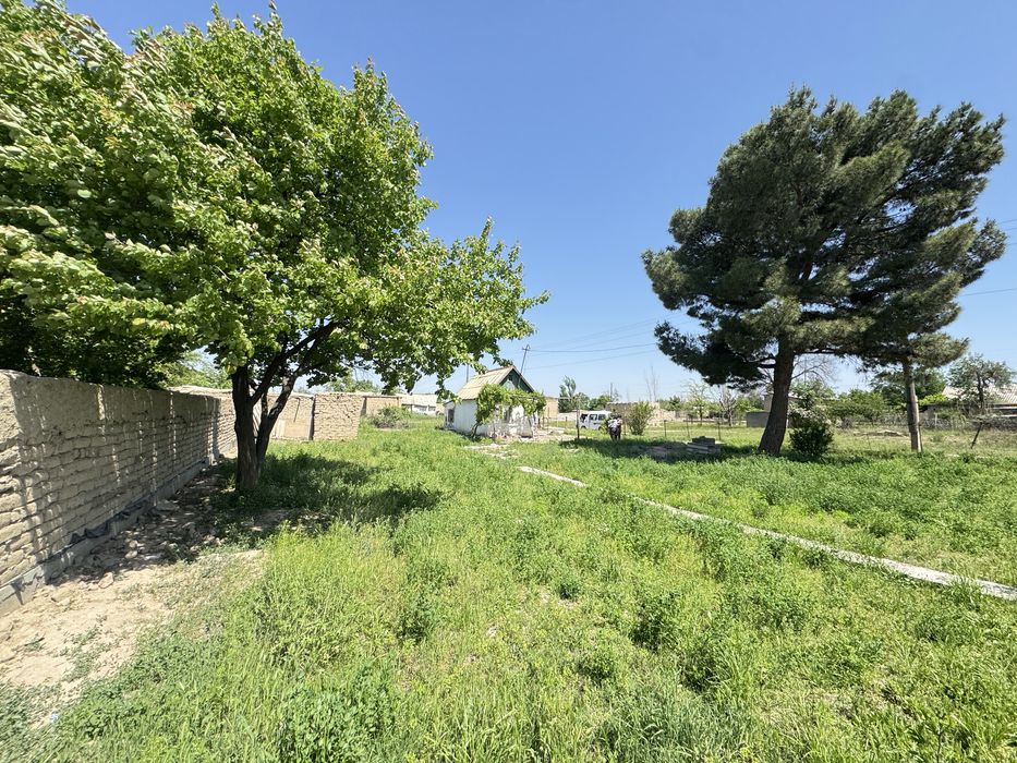 Дача Восход (Кўришизга арзийди )