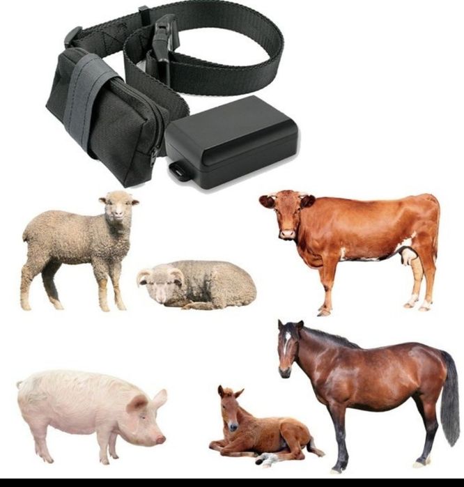 Gps...трекер лошадей и др животных