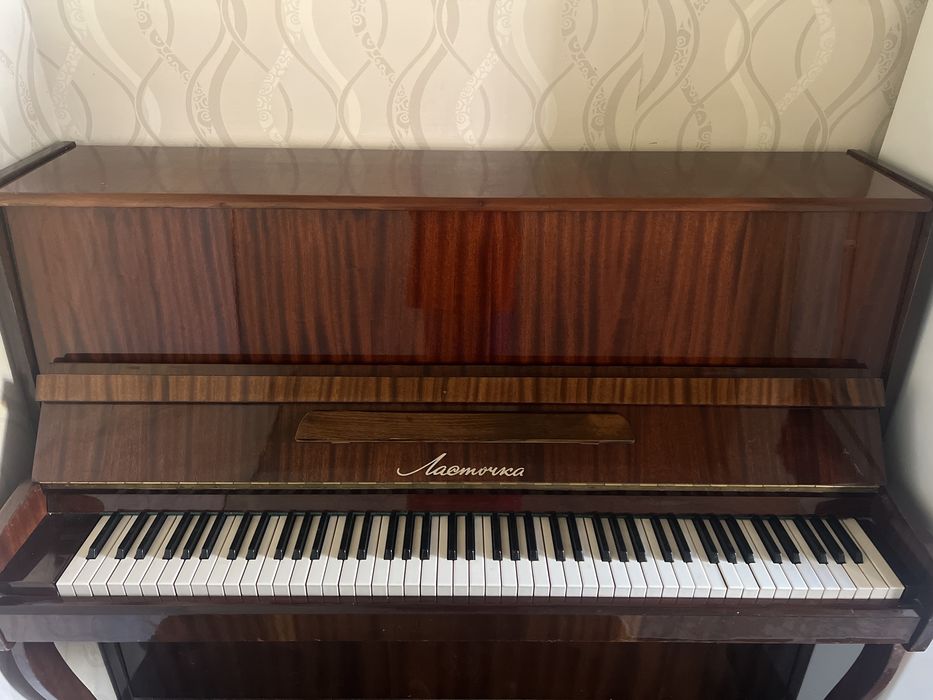 Lastochka pianino sotiladi