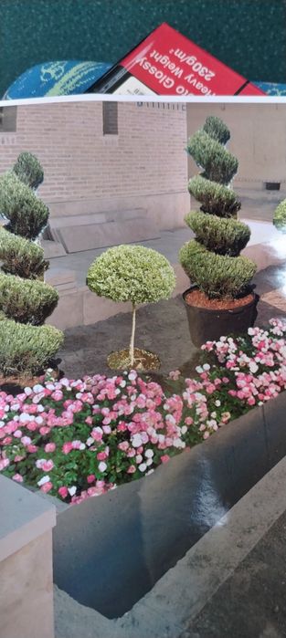 Ландшафт дизайн хизмати