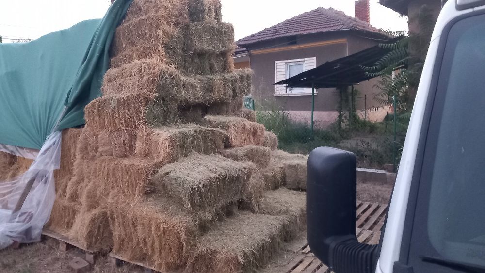 Продавам бали сено и слама