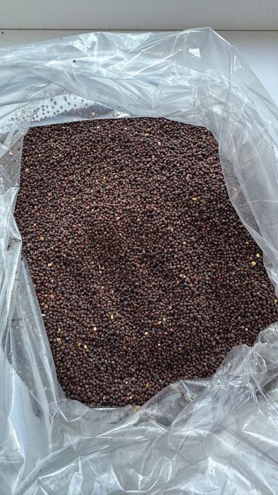 Ячмень.Платный чат! Все корма.