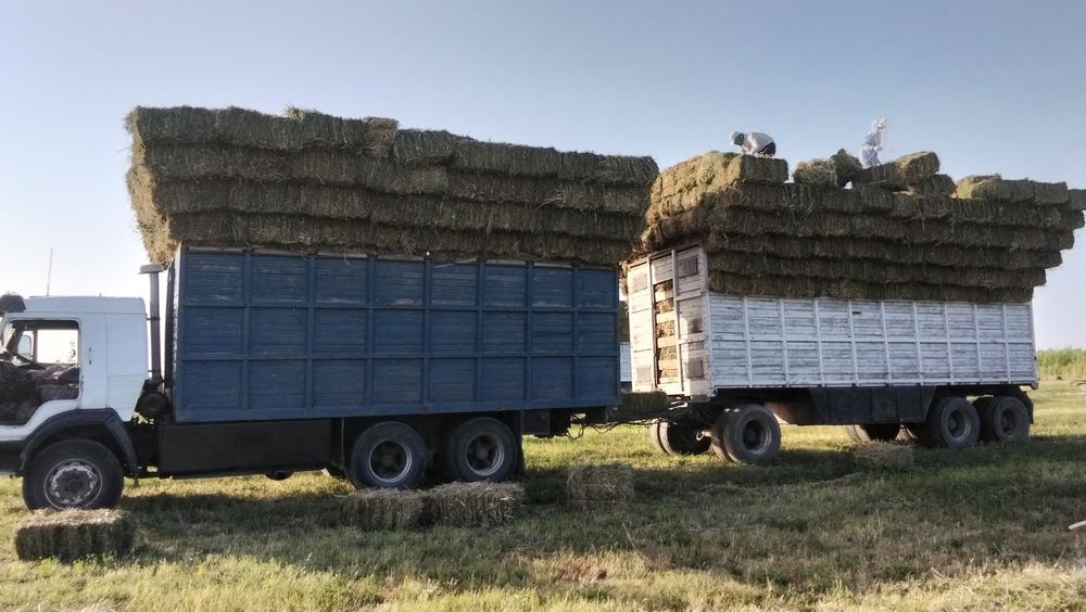 КамАЗ Кызылорда Жанакорган