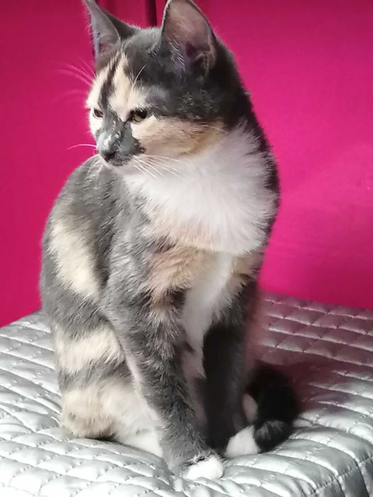 Бабочка, это её имя, уже 6 месяцев девочке.