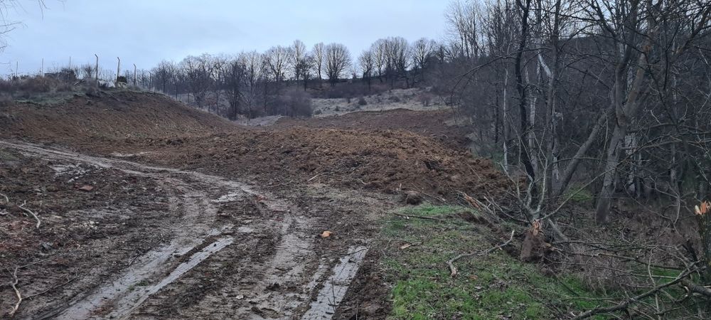 Teren de vânzare Budeasa Mare