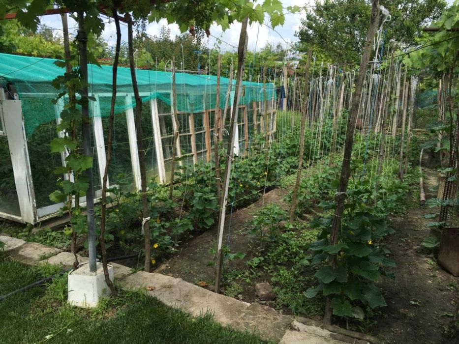 Продава се Къща в с. Ореховица, Област Плевен - 120 кв.м за 242 €/кв.м - Снимка #6