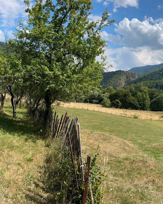 Teren Montan 6.572 mp Jieț (Petrila , Județul Hunedoara)