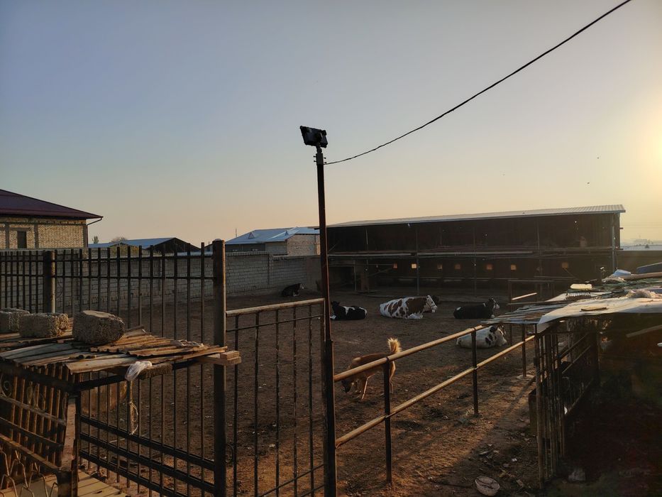 Срочно продается земля с готовым бизнесом 8 соток