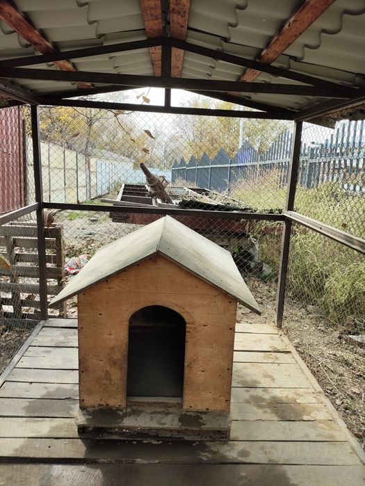 Вольер / Клетка для собак