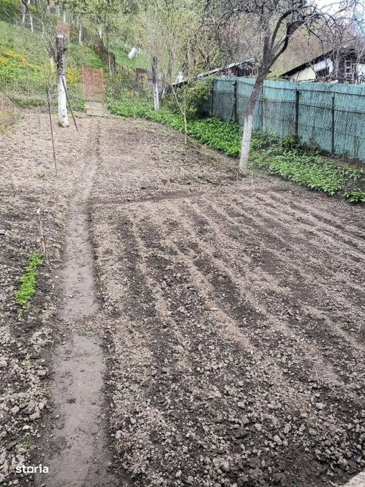 Vand casa la Nadrag zona linistita foarte aproape de centru