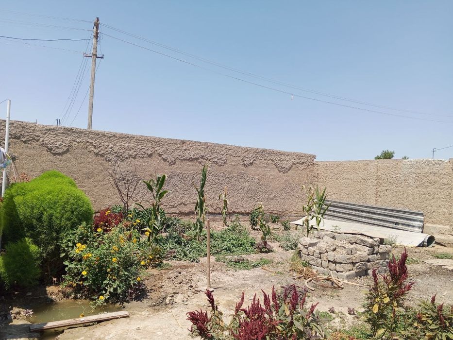 Салом племсавхозда 3 сутикли уе