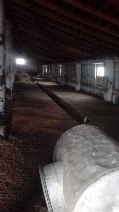 Срочно! Продам базу. Трудовая Нива. 30 км от Петропавловска - View 2