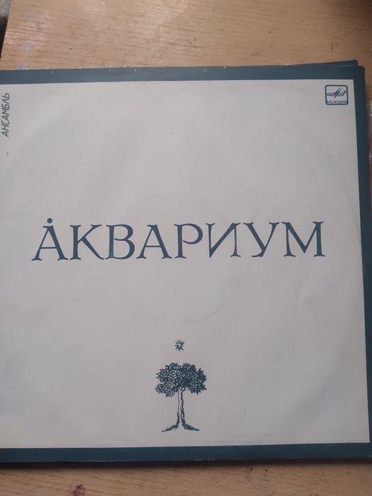 Поастинки виниловые