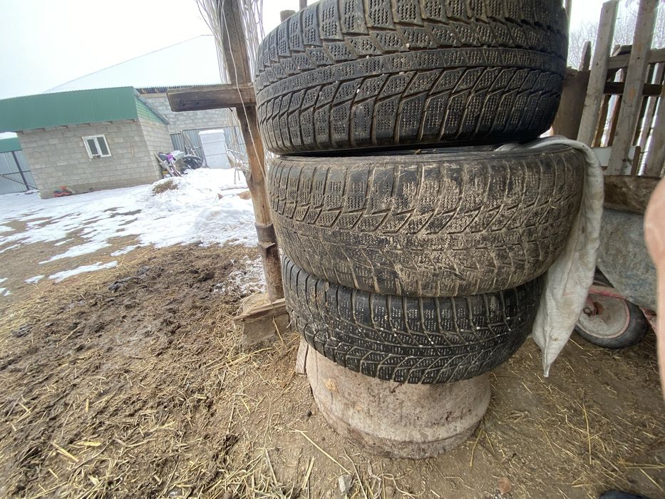 205/55/16 3 штуки