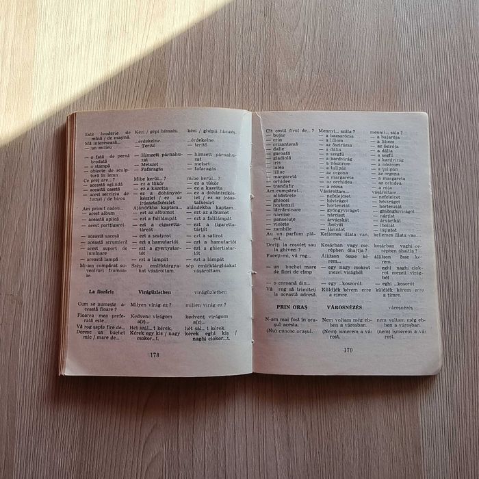 Ghid de conversatie Roman - Maghiar / dictionar Ungaria