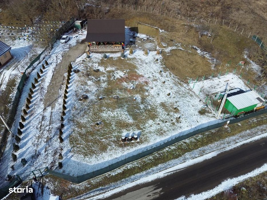 Casă / Vilă Coțofănești Bacău