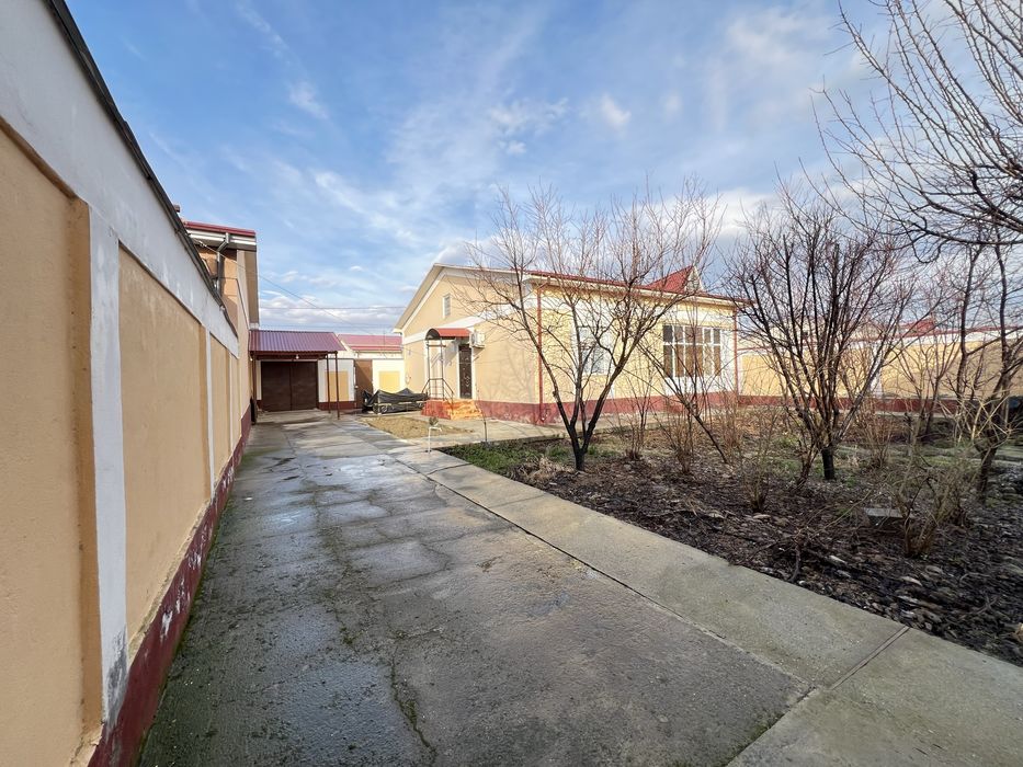 Yaxshi shinam xovli kotej sotiladi