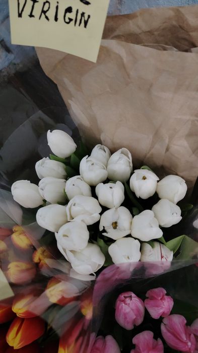 Тьюльпаны оптом от 300 тенге