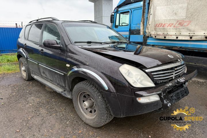 Far dreapta (de Europa) SsangYong Rexton generatia 1 [2001 - 2007]