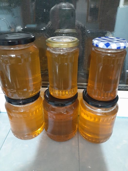 De vânzare stoloni de căpșuni și miere de albine