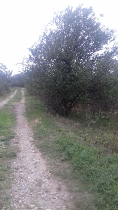 Vand teren intravilan , zona Mihai Bravu, 5,000 m.p.