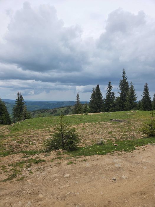 Teren intravilan 750 mp, zonă montană, cu utilități – ideal casă de vacanță