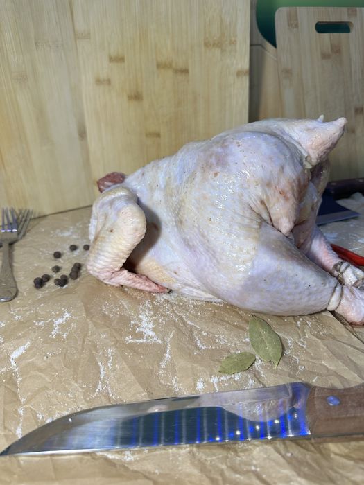 Куры-бройлеры домашние