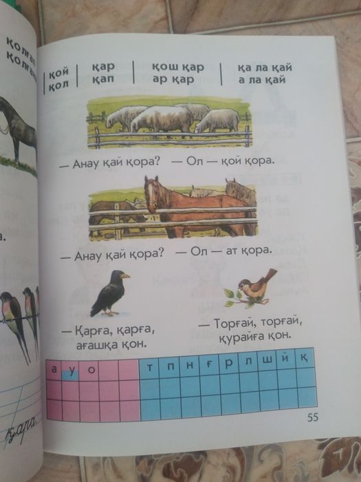 Алиппе новый жасыл,көк