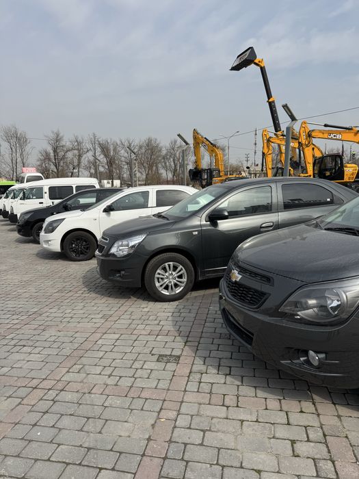 Cobalt MCM midnight 2026