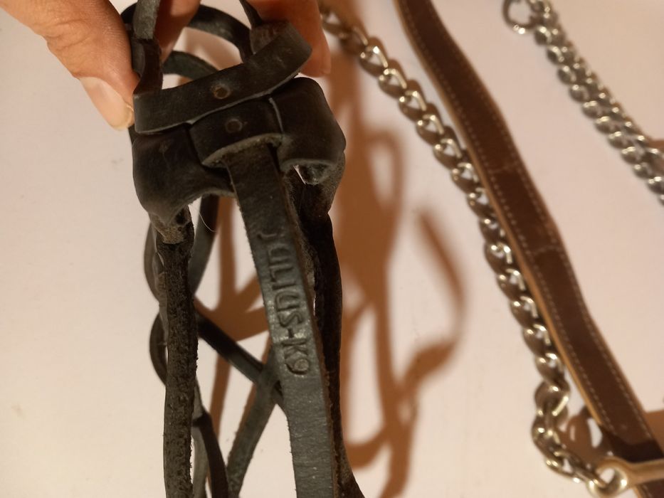 Zgarda forță, botnita și lesă câini