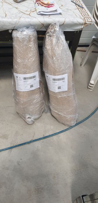 puieți salcâm carpen mesteacăn   prindere suta la suta