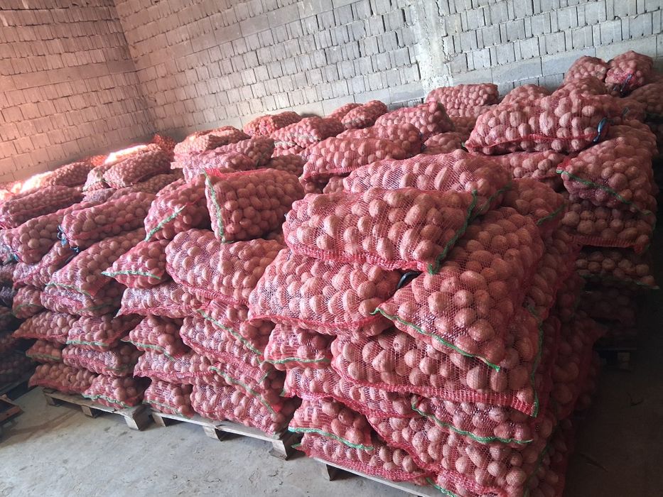 Cartofi de sămânță calitatea 1 preț 1.30