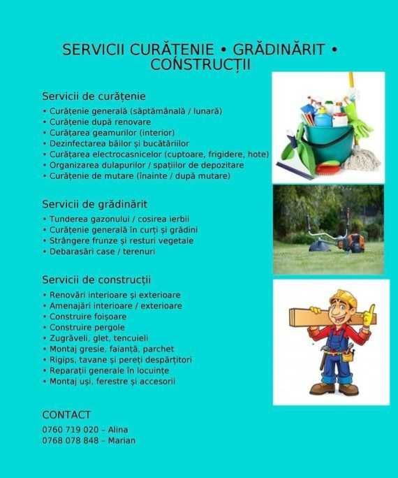 Echipa curatenie case,gradinarit