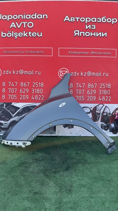 Ниссан Жук крылья