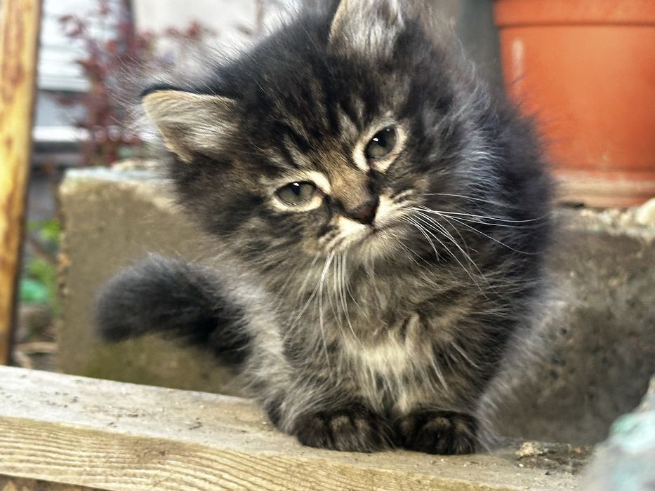 Только в любящие руки