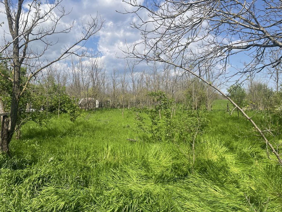 Casă la tară | Teren generos | Zonă liniștită