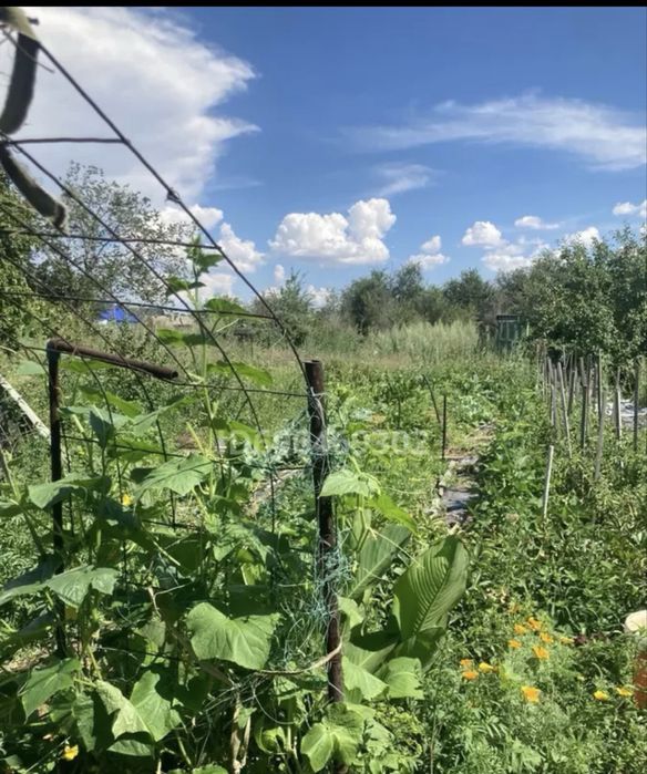 Продам дачу на восточном