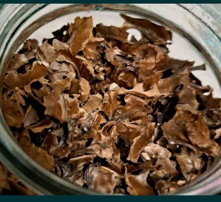 Грецкий орех с Текели, свежие.