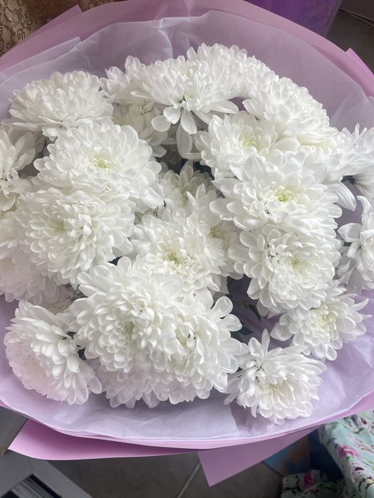 Цветы. Гүл. Цветы