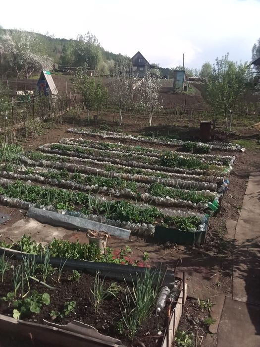 Продам дачу в СО "Казахстан"