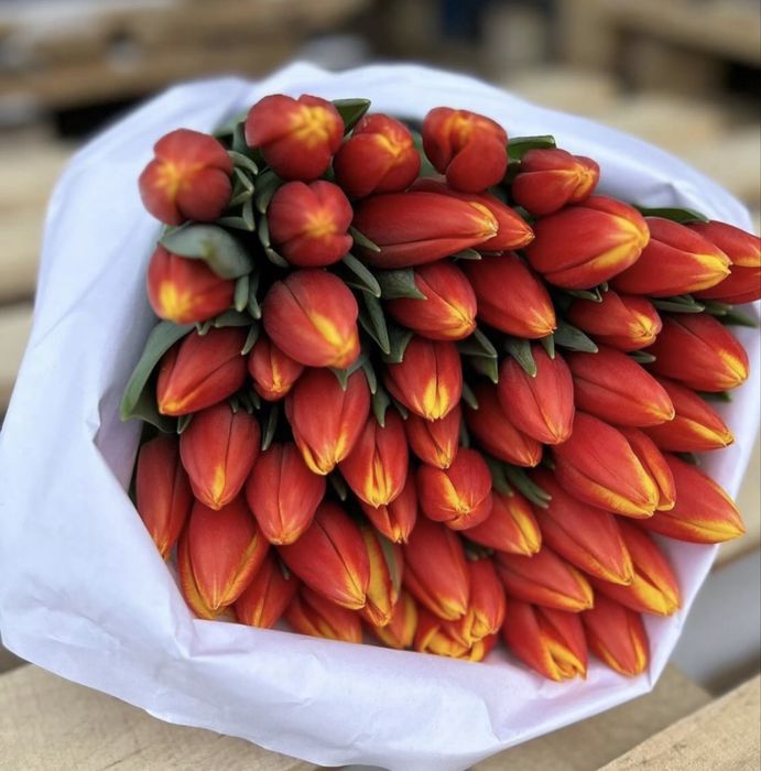 Тюльпаны на 8 марта